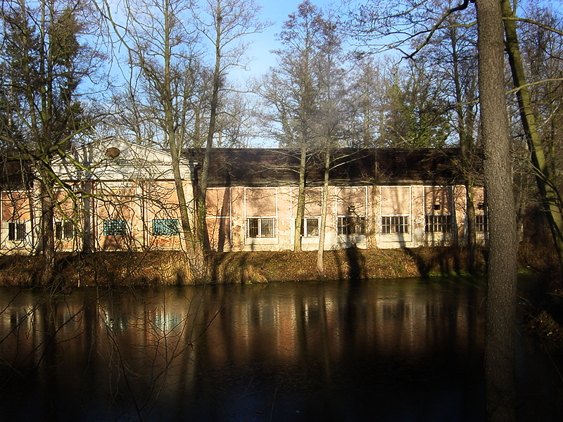 DSC04963_Zmigrod