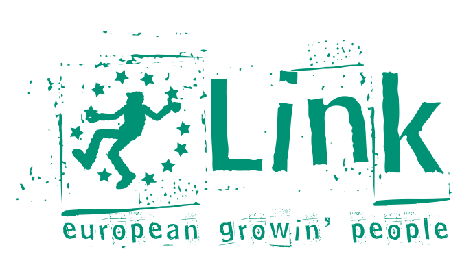 testata link animata