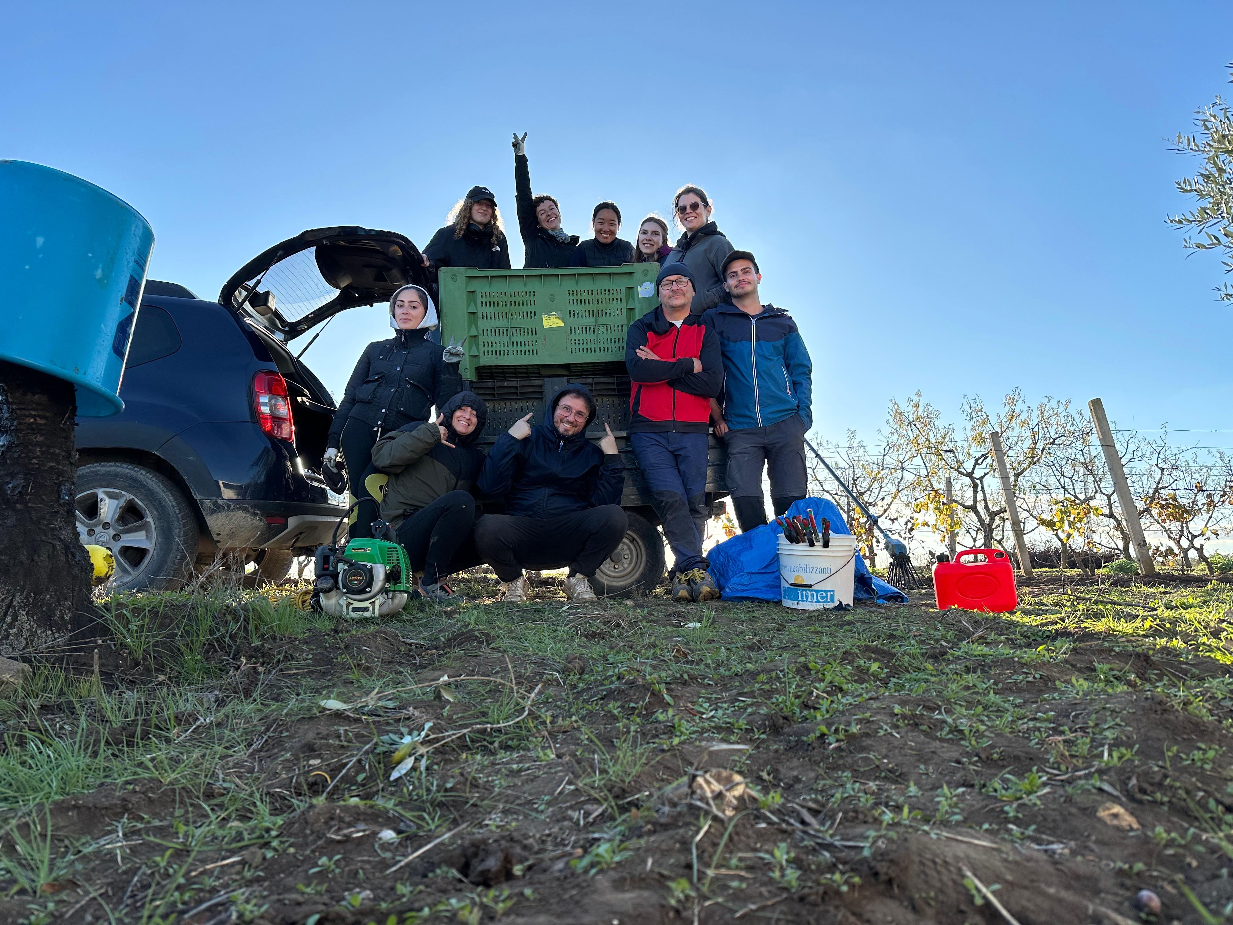 Foto Gruppo Autumn roots