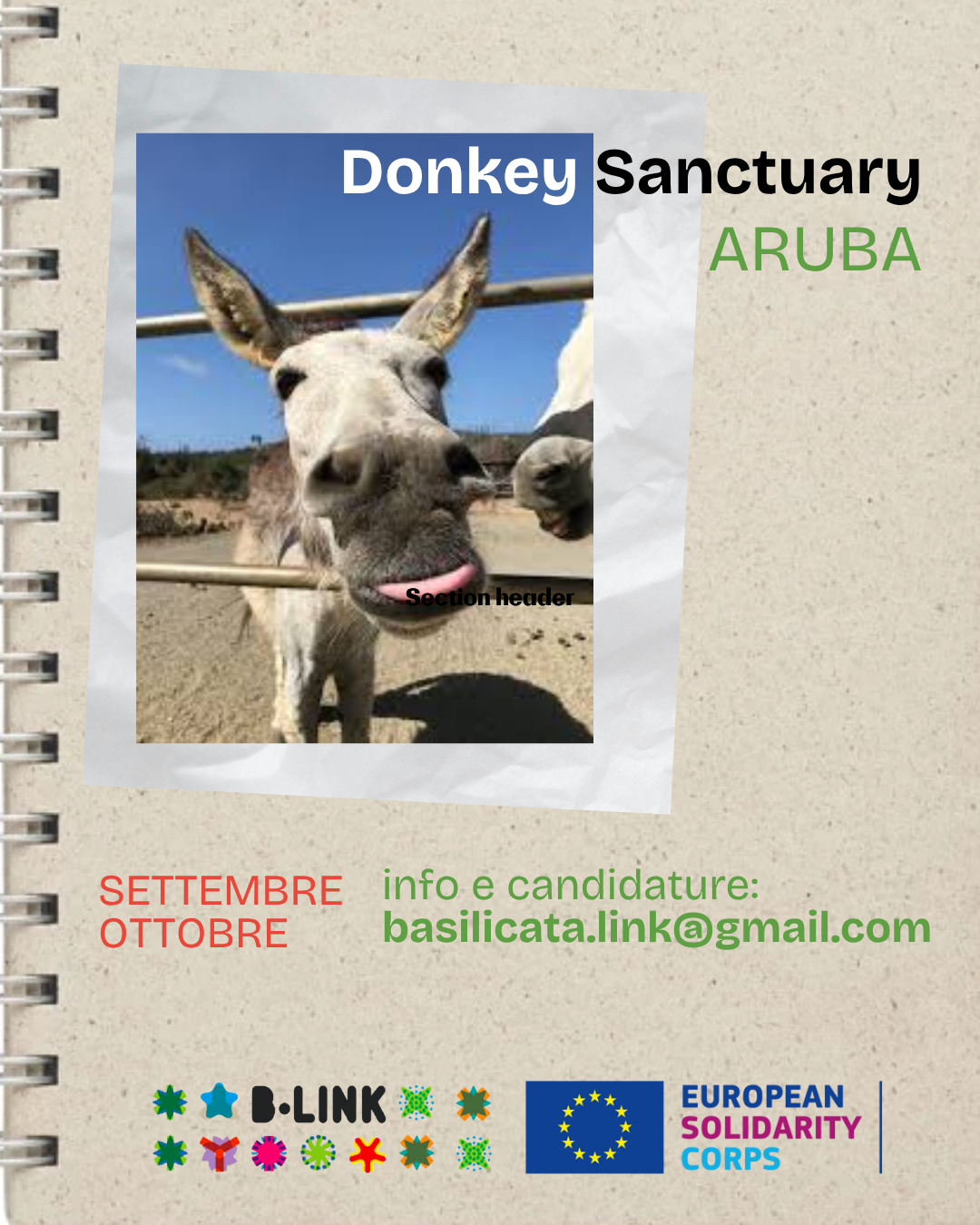 ESC_DONKEY.png