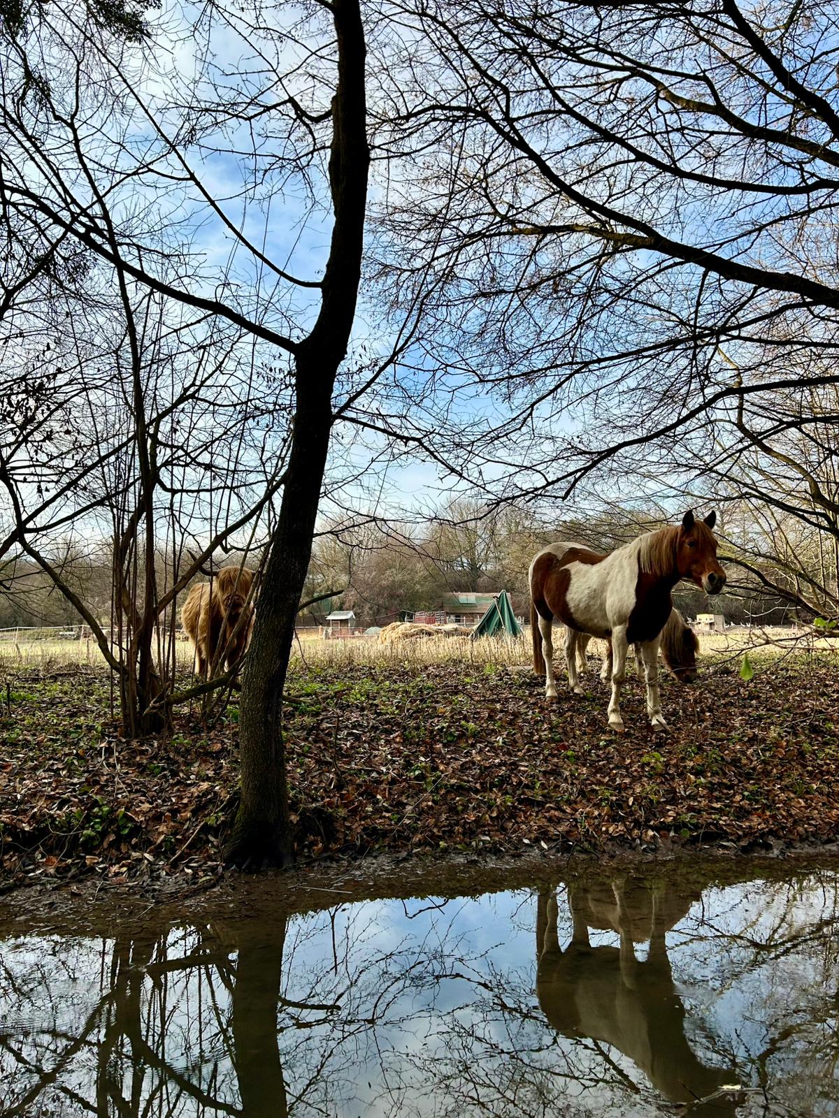 WhatsApp Image 2025 12 23 at 17.11.14 1