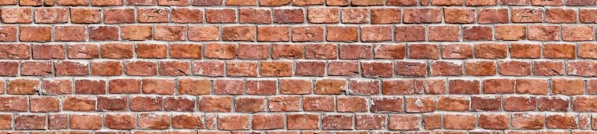 The Wall  » Scambio giovanile rinviato